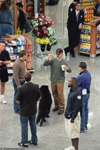 La terminal