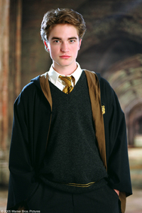 Harry Potter y el Cáliz de Fuego