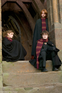 Harry Potter y el Cáliz de Fuego