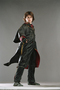 Harry Potter y el Cáliz de Fuego