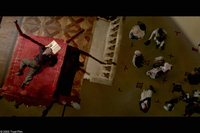 Manderlay