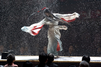 Memorias de una Geisha