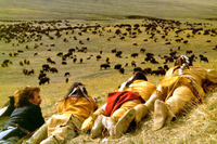 Danza con Lobos
