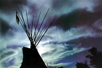 Danza con Lobos