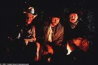 Cowboys de ciudad