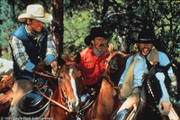 Cowboys de ciudad