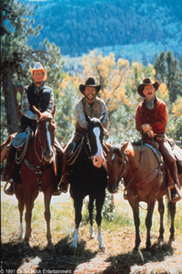 Cowboys de ciudad