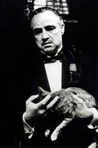 El Padrino