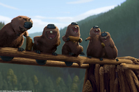 Open Season - Amigos Salvajes