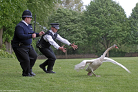 Hot Fuzz