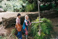 El mundo mágico de Terabithia