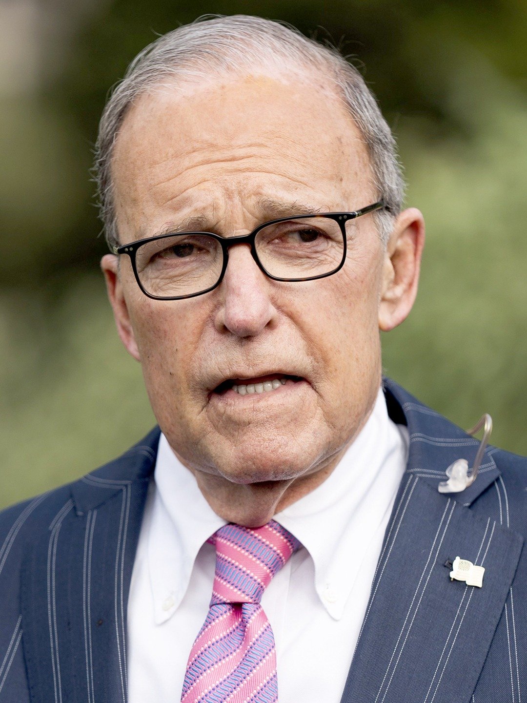 Larry Kudlow Pictures - Rotten Tomatoes