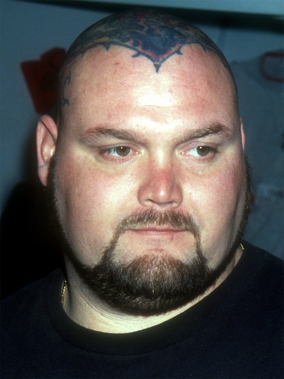 Bam Bam Bigelow Pictures Rotten Tomatoes