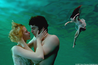 Across the Universe