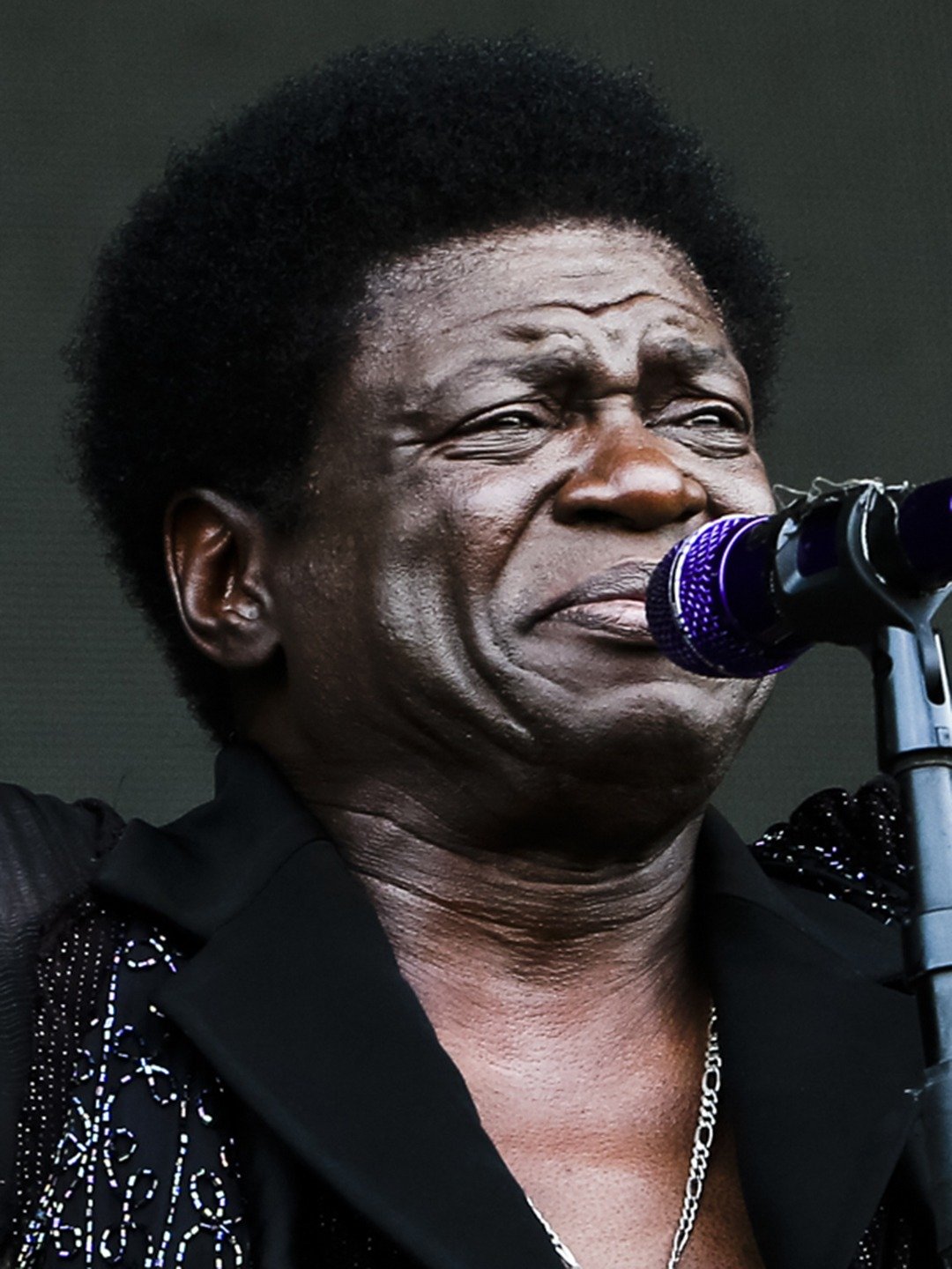 Charles Bradley Pictures Rotten Tomatoes