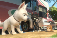 Bolt