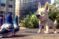 Bolt
