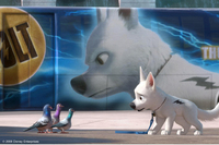 Bolt