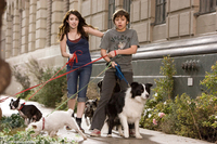 Hotel para perros