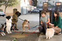 Hotel para perros