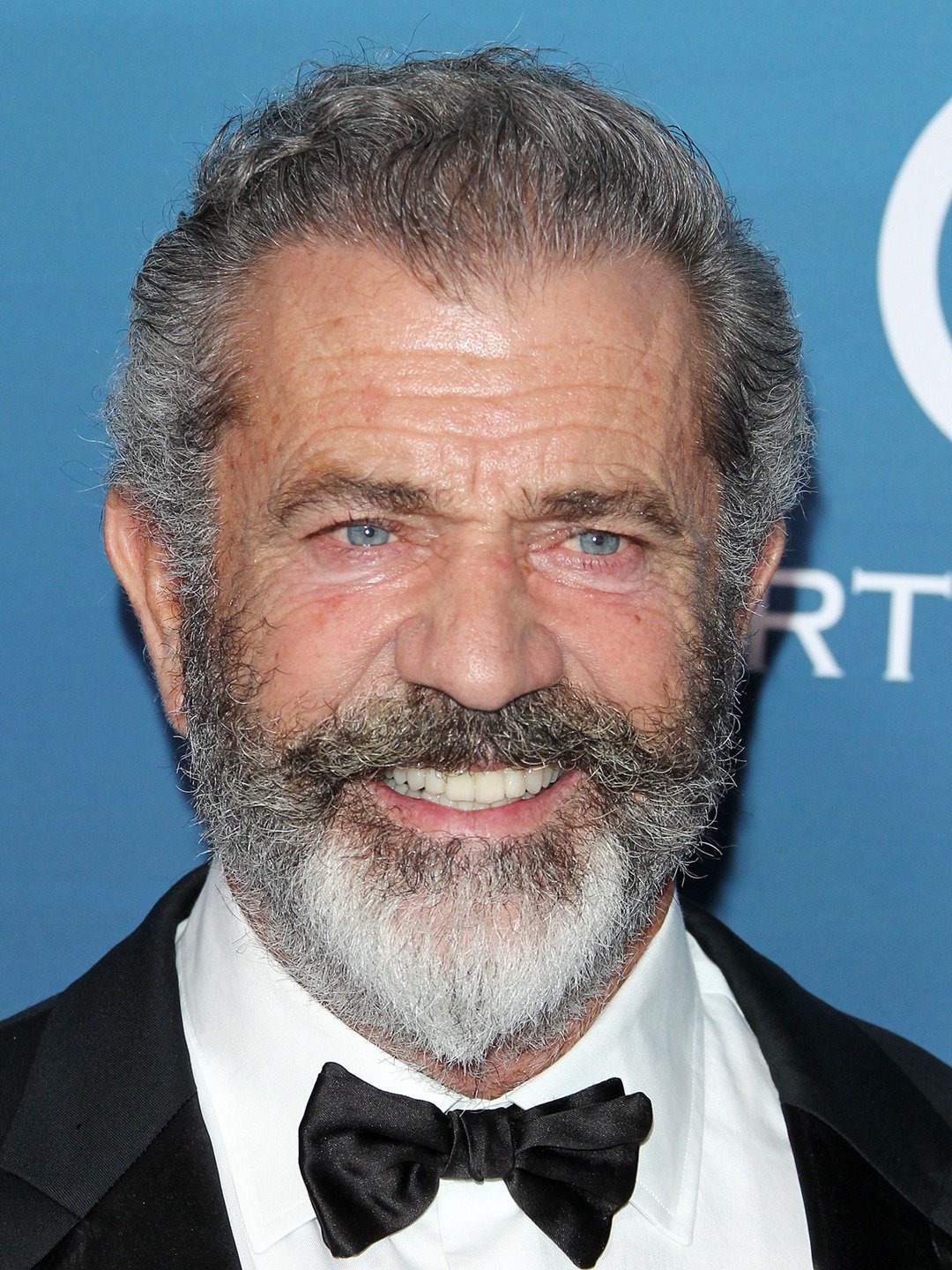 Mel Gibson Pictures Rotten Tomatoes