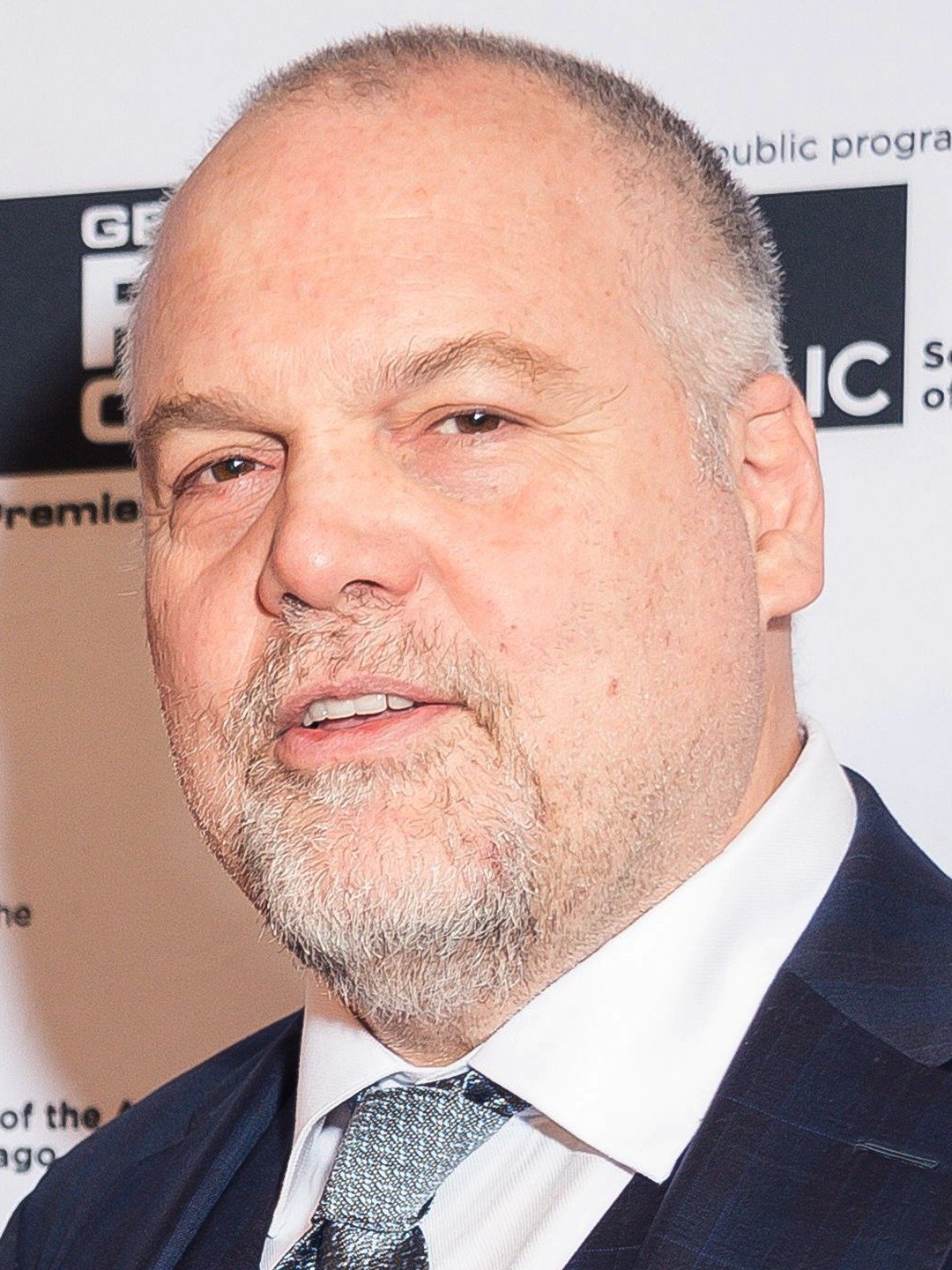 vincent-d-onofrio-pictures-rotten-tomatoes