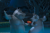 Madagascar 2