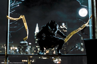 Los Vigilantes
