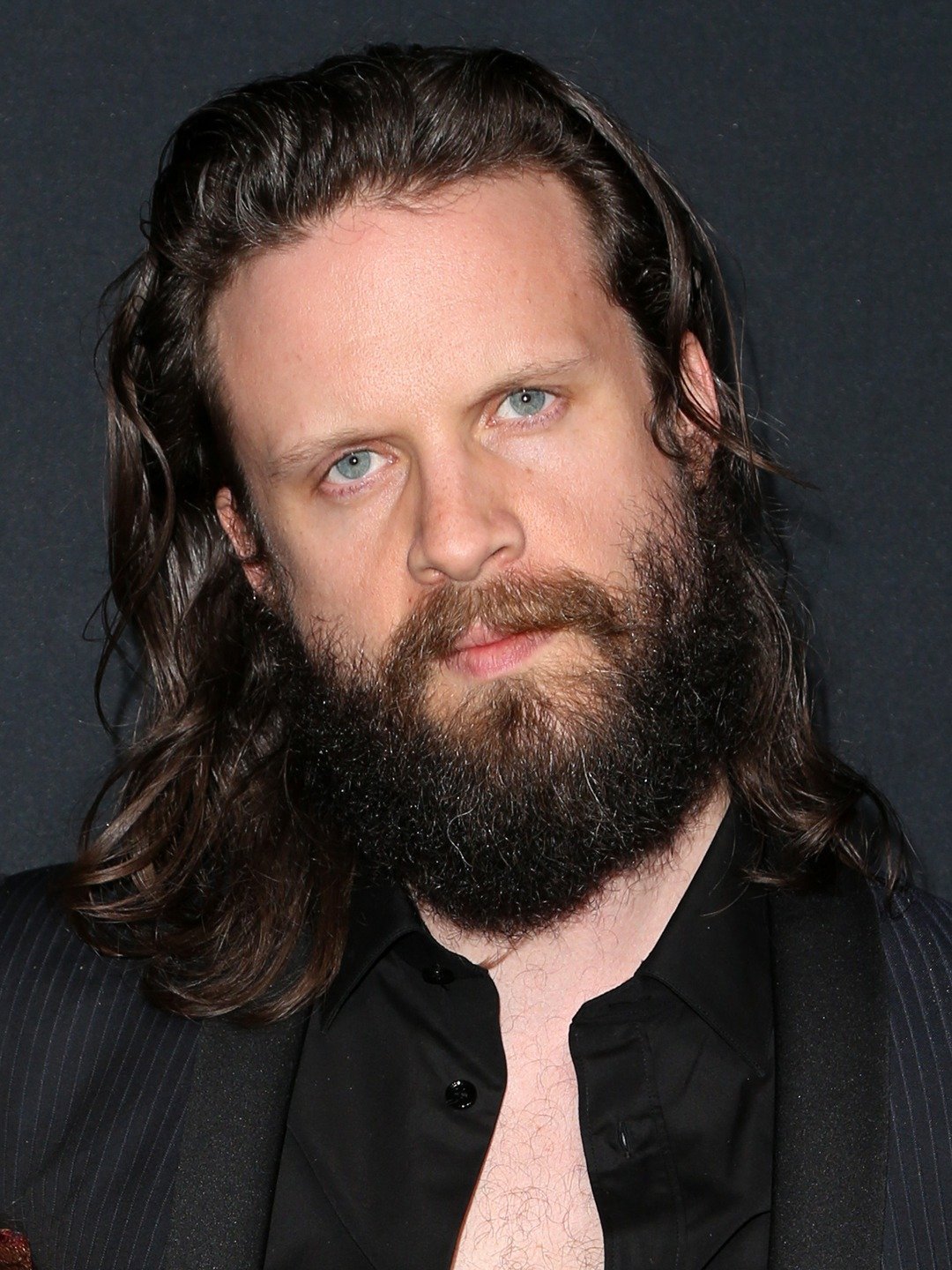 Father John Misty Pictures Rotten Tomatoes