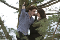 Crepúsculo