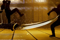Asesion ninja