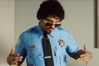 Observe and Report