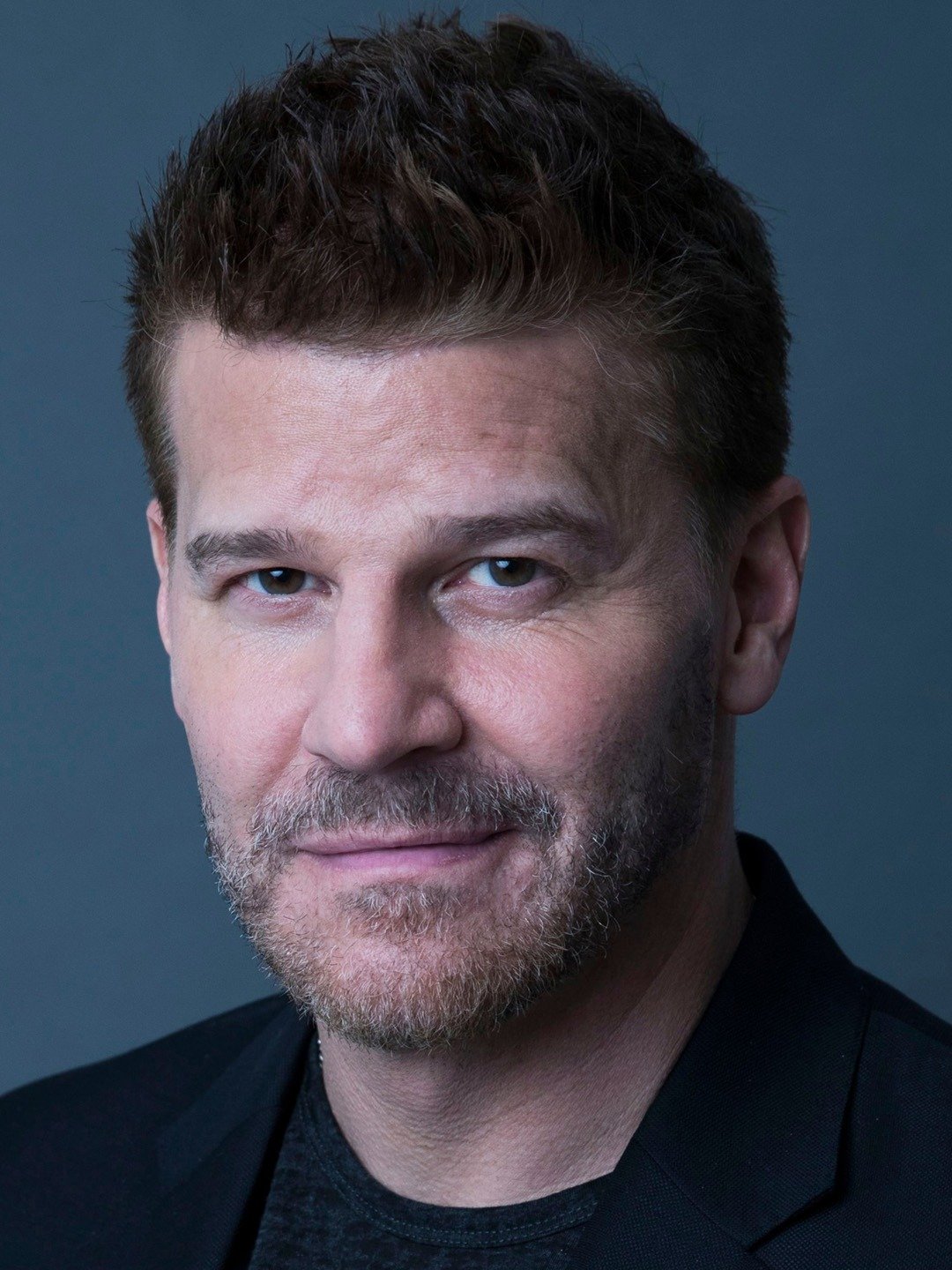 David Boreanaz Pictures Rotten Tomatoes