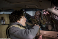 Tierra de Zombies