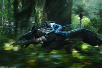 Avatar 3D