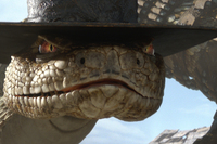 Rango