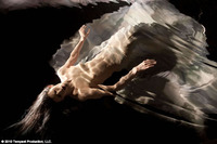 Shakespeare on Film: The Tempest
