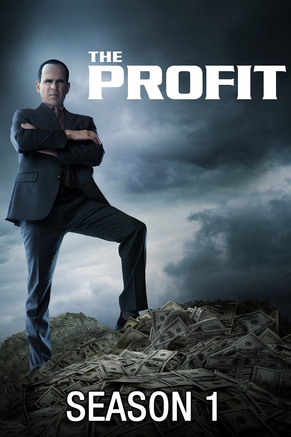 The Profit - Rotten Tomatoes