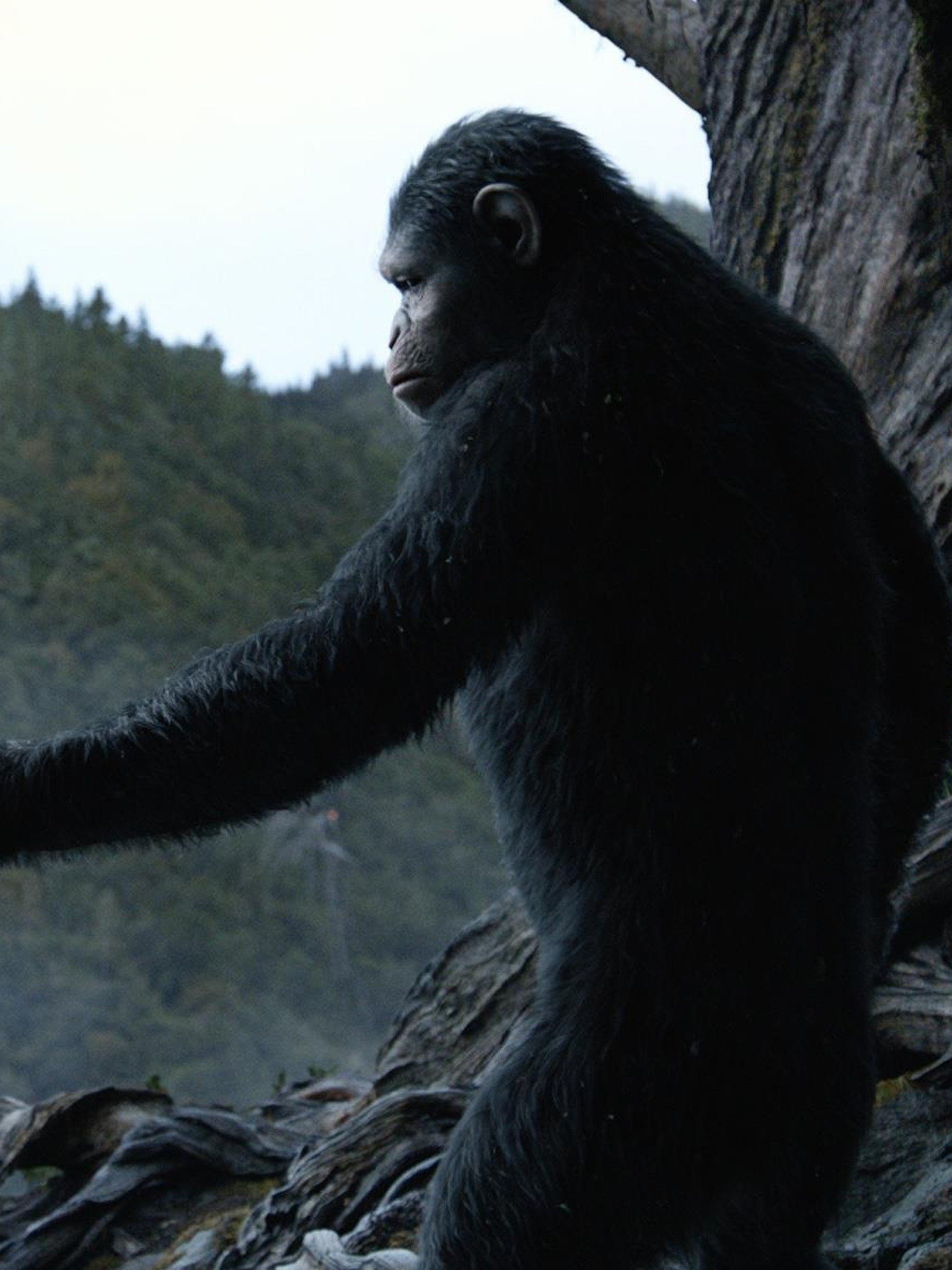 Dawn Of The Planet Of The Apes: Teaser Trailer 1 - Trailers & Videos ...