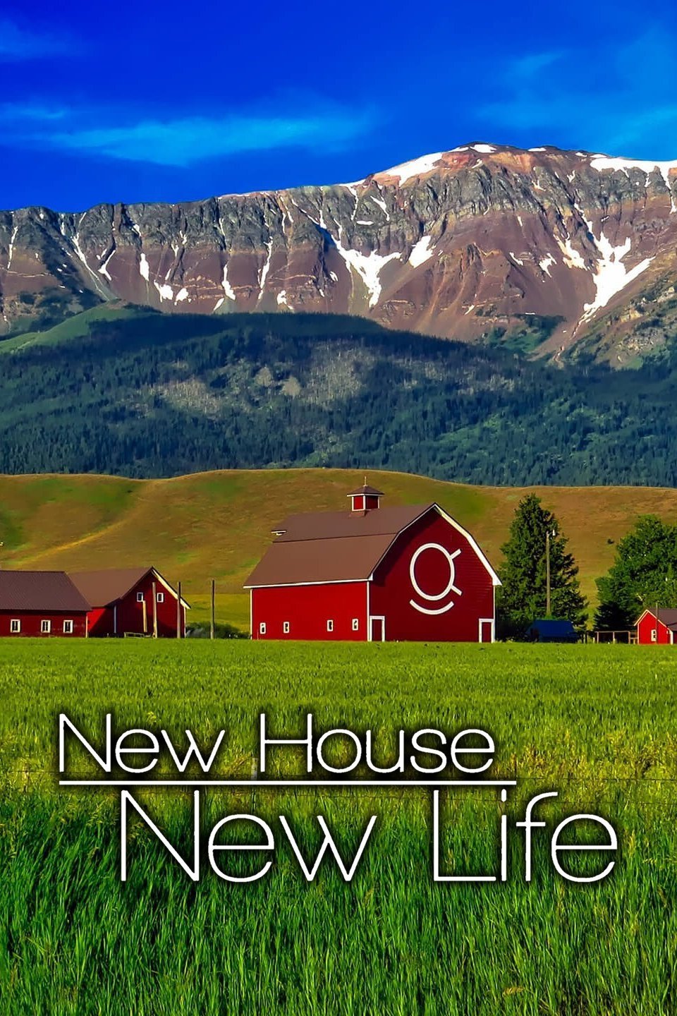 New House New Life Rotten Tomatoes