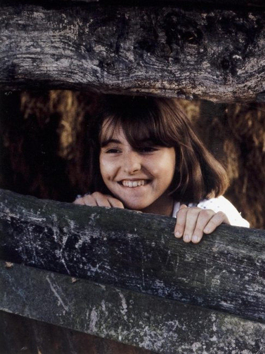 L Adolescente An Adolescent Girl 1979