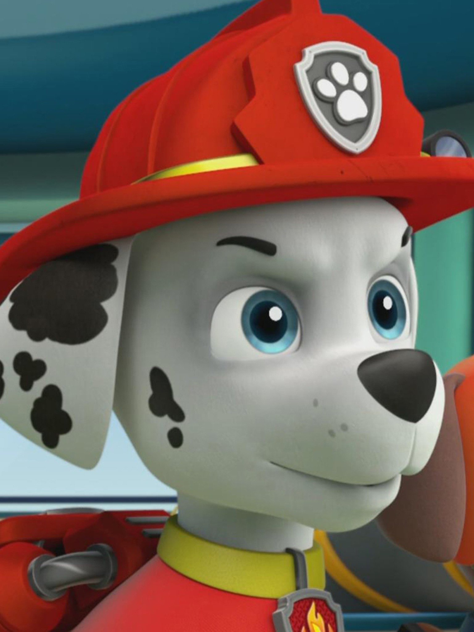 Pups Save the Treats; Pups Get a Lift Pictures - Rotten Tomatoes