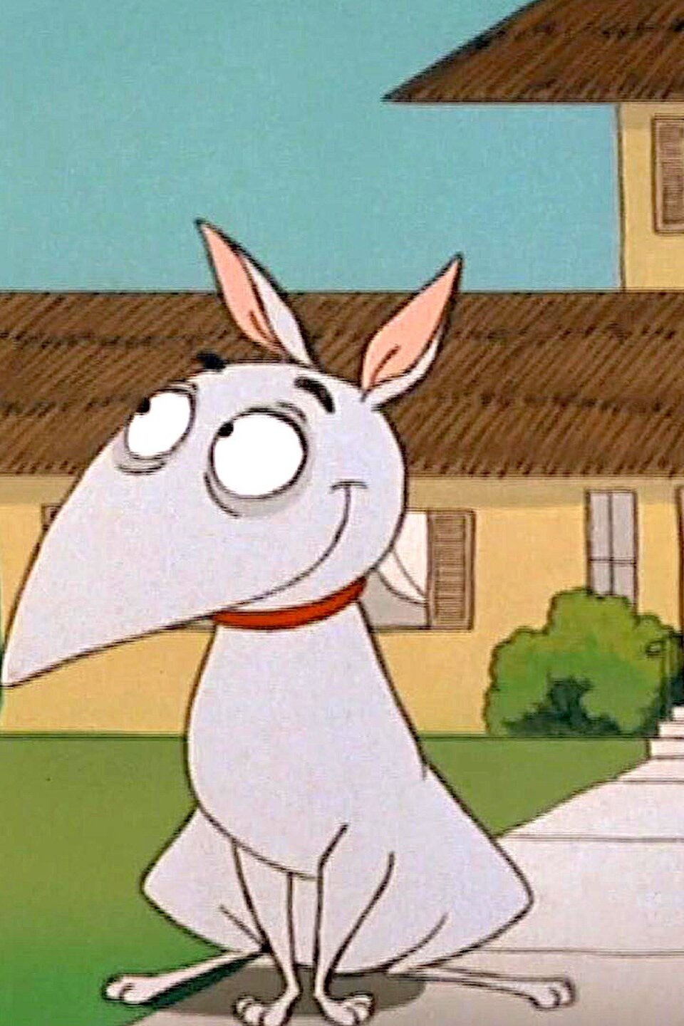 Family Dog Pictures Rotten Tomatoes