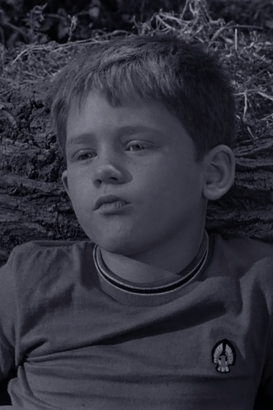 Opie's Rival Pictures Rotten Tomatoes