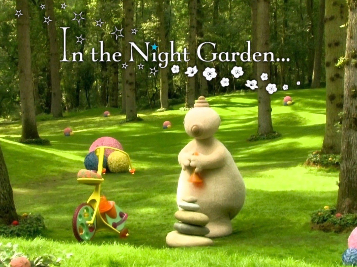 night in the garden