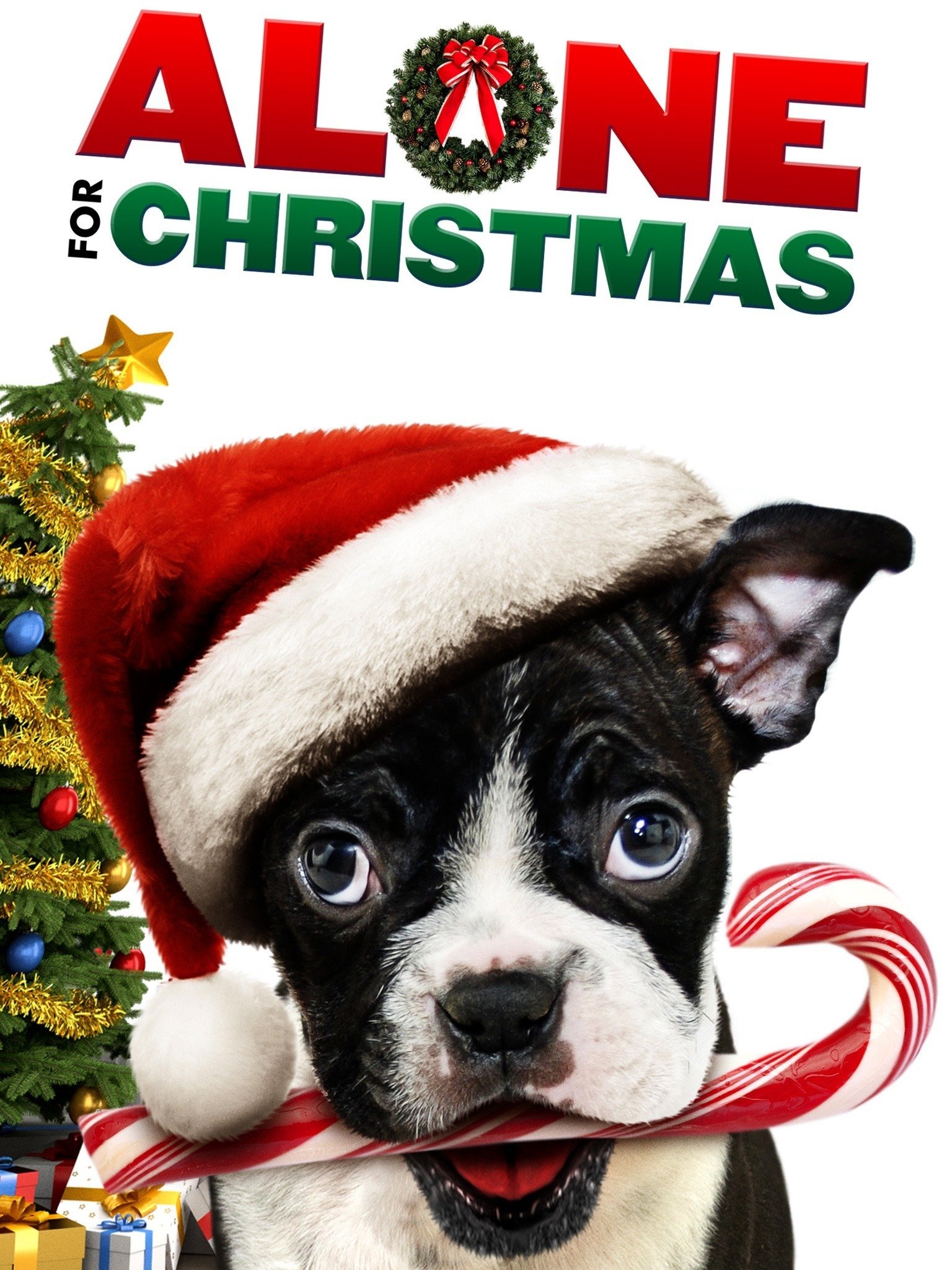 Alone for Christmas (2013) Rotten Tomatoes Alone For Christmas