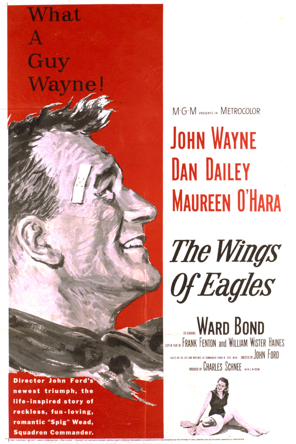 The Wings of Eagles Movie Reviews