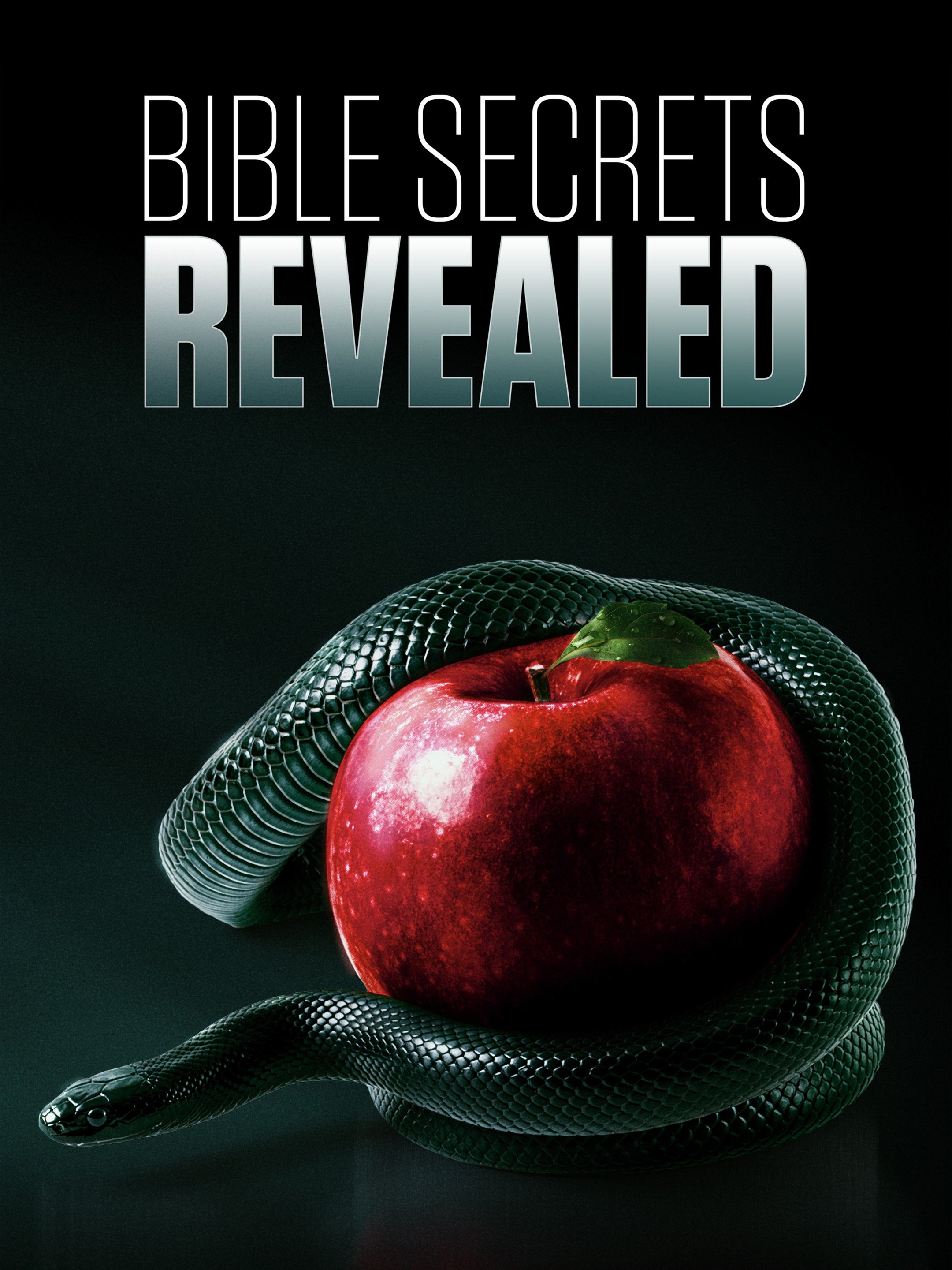 Bible Secrets Revealed Pictures - Rotten Tomatoes 