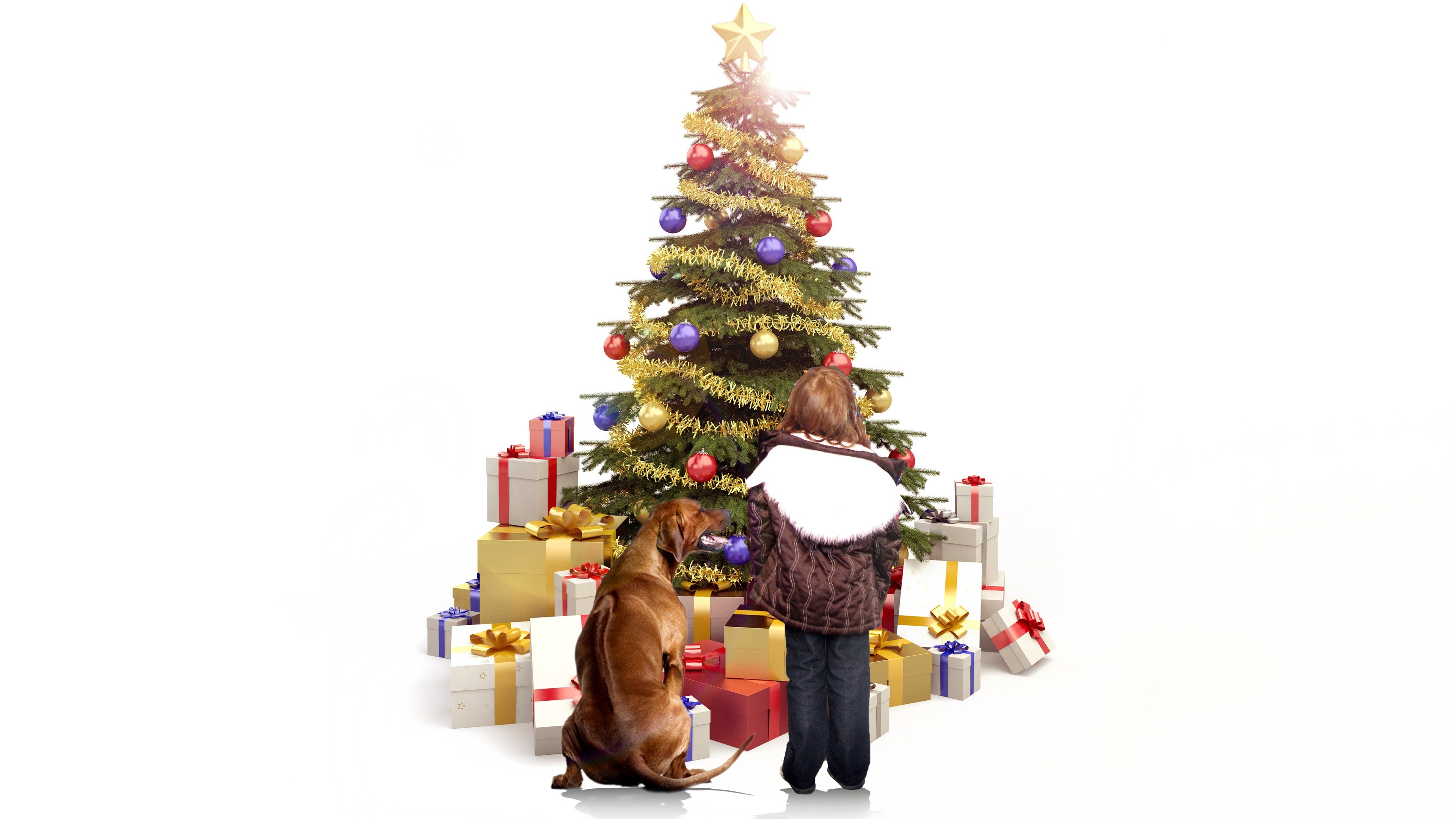  Trailers & Videos Rotten Tomatoes