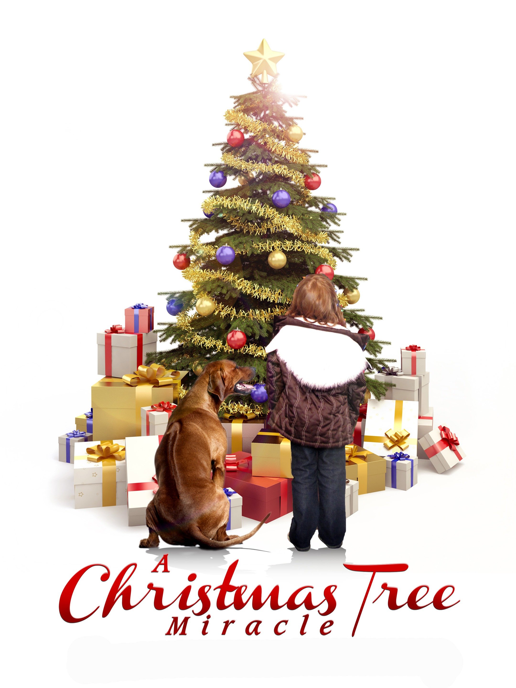 A Christmas Tree Miracle (2013) - IMDb